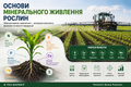 Основи мінерального живлення рослин: роль елементів у формуванні врожаю
